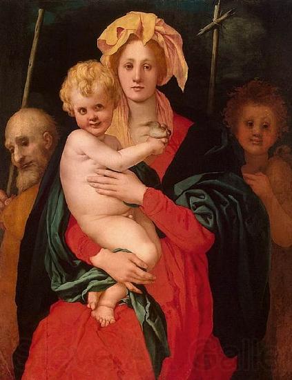 Jacopo Pontormo Madonna and Child with Norge oil painting art